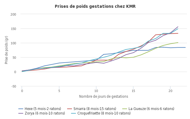 KMR-TPX Croquefrisette x ABR-LPZ Kunikpok - Page 3 968516000000064027