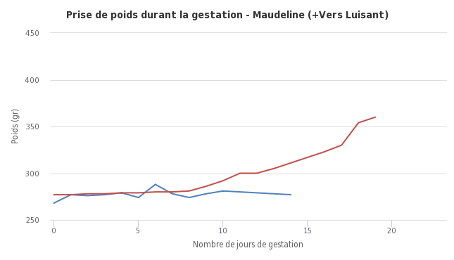 TPX Lady Maudeline Everglot et KTY-TPX Lampyre Vers-Luisant du Manoir  - Page 11 968516000000123011